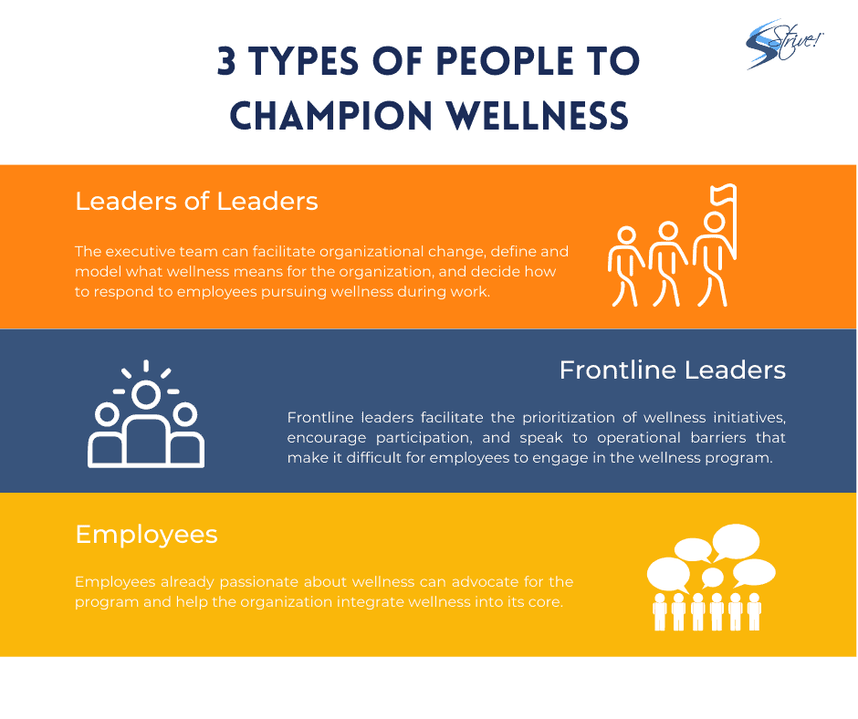 3 Types of People to Champion Wellness